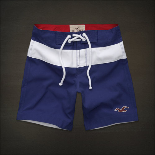 hollister mens swim shorts