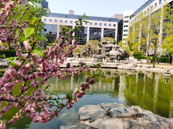 Kempinski Beijing Easter Outdoor Brunch Garden View 