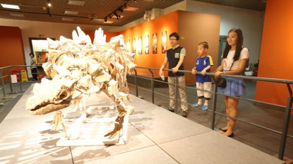 Flying Dinosaurs at the Beijing Museum of Natural History