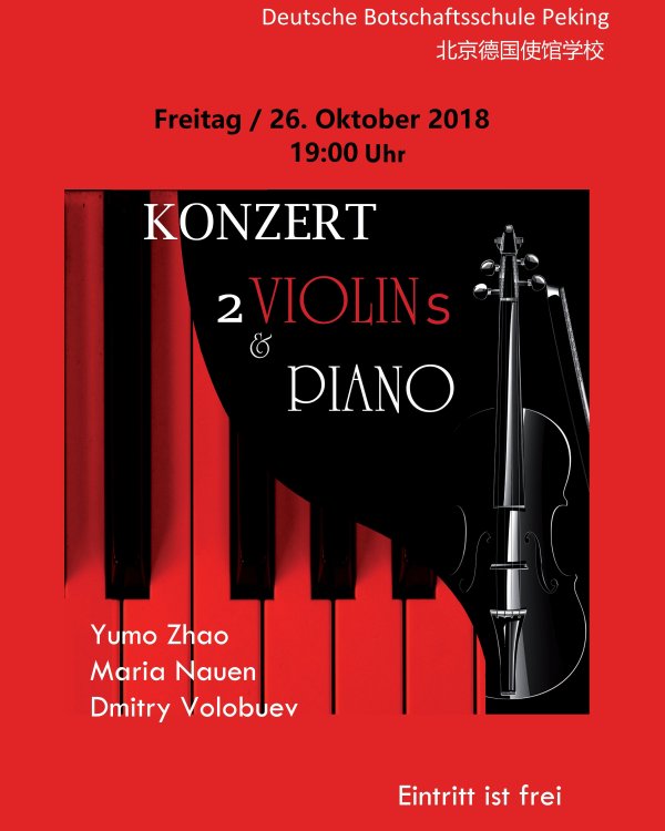 Concert for 2 Violins and Piano