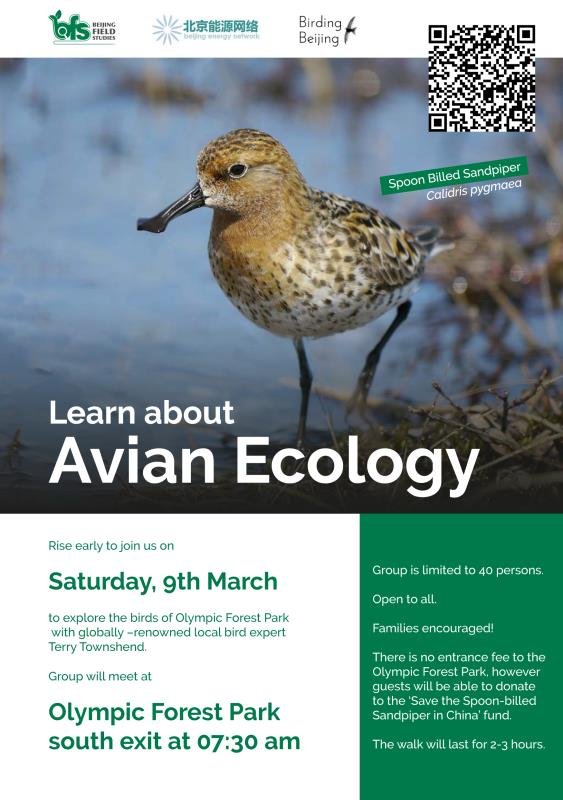 Avian Ecology