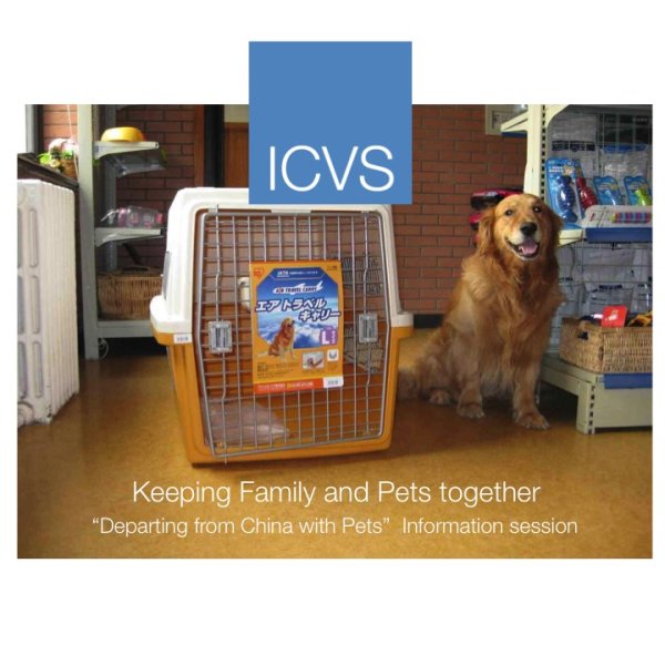 Departing China With Pets? Join the FREE ICVS Online information session to learn how to prepare your pets for export! 