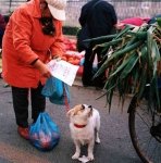 Beijing,the Moment