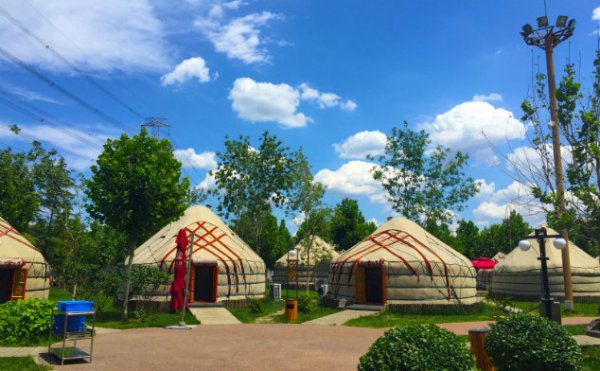 Dinner in a Mongolian Yurt