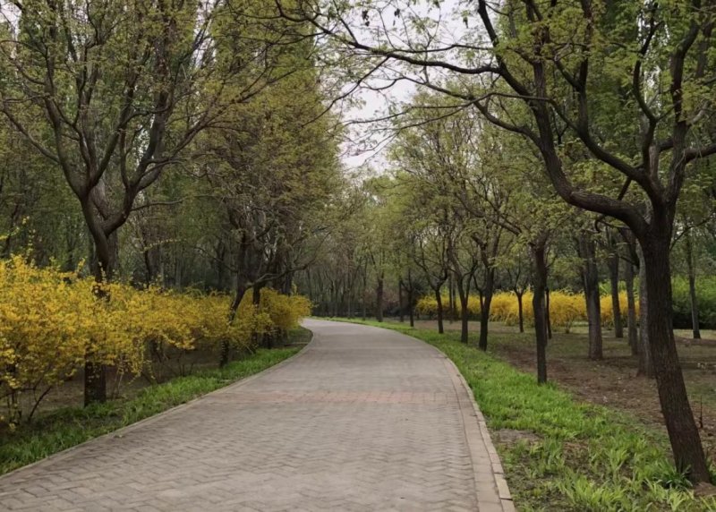 Beijing - Outdoor Exercise Park- Dongdan Park - China - Spot