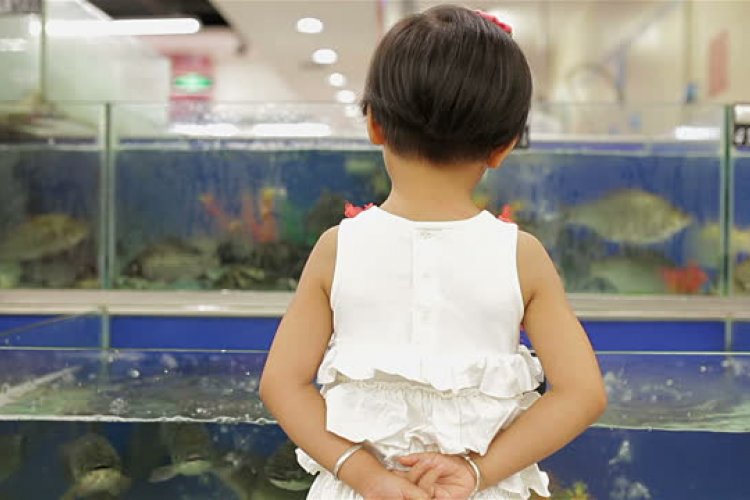 Clusterf*sh: Panic Ensues After Freshwater Fish Pulled from Live Tanks at Beijing Markets 