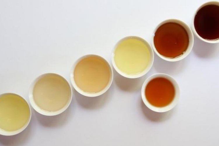 Know Your Teas: A Full and Leafy Spectrum of Cuppas