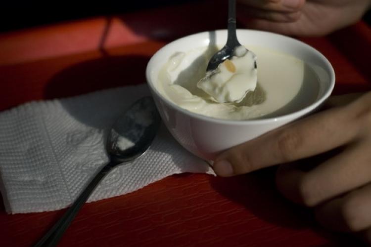 Learning From a Master: The unbearable lightness of rice-wine yogurt