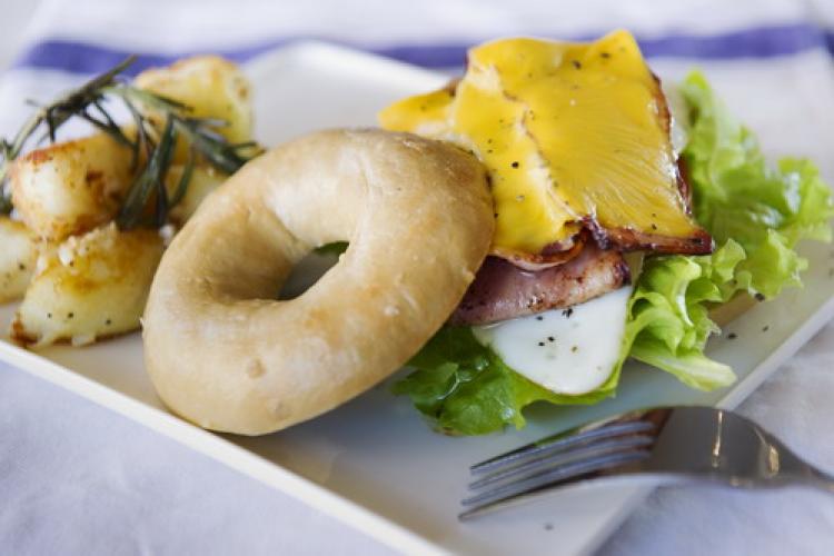 Bread Carpet: Bagel Bites at Chaoyang Park Bread Carpet: Bagel Bites at Chaoyang Park