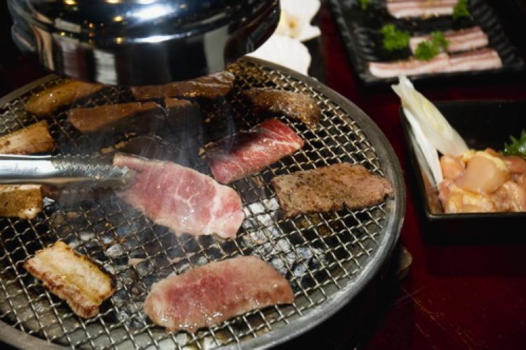 Ours of Meaty Fun Ours of Meaty Fun