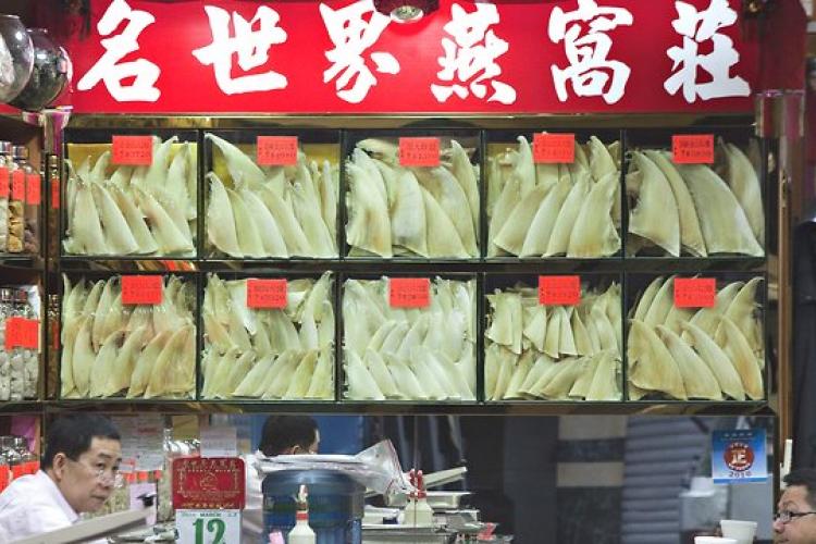 China Takes Shark Fin Off the Menu