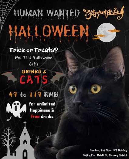 Halloween Party with 28 Cats & Free Drinks