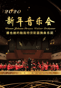 Wiener Johann Strauss Walzer Orchester: The New Year Concert | the