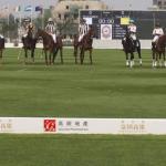 TiajinGoldinPoloClub18