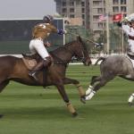 TiajinGoldinPoloClub22