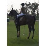 TiajinGoldinPoloClub28