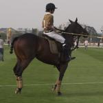 TiajinGoldinPoloClub30