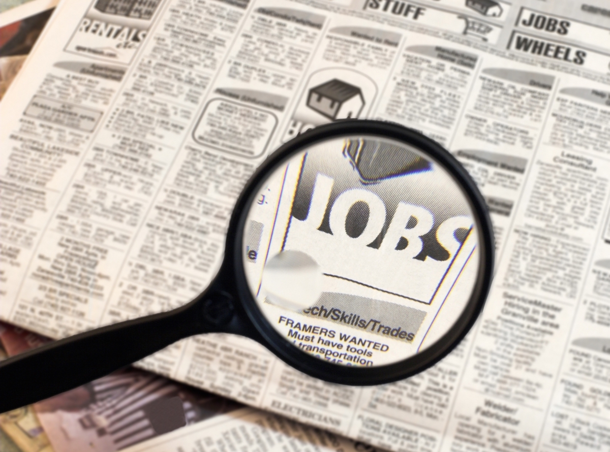 The Job Hunt: Boxing Coach, Freelance Content Creator, Video Editor, Freelance Sales Associate