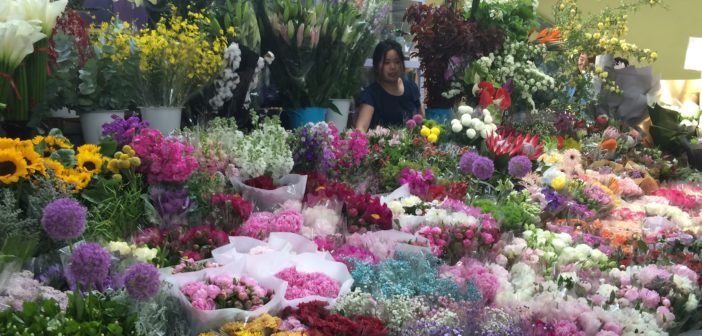 Lai Tai Flower Market is Open Again, What Has Changed?