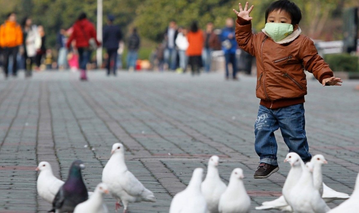 Woman Carrying Bird Flu in Critical Condition, Quarantined in Beijing