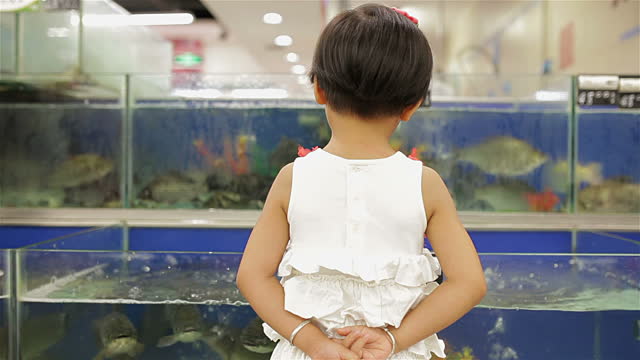 Clusterf*sh: Panic Ensues After Freshwater Fish Pulled from Live Tanks at Beijing Markets 