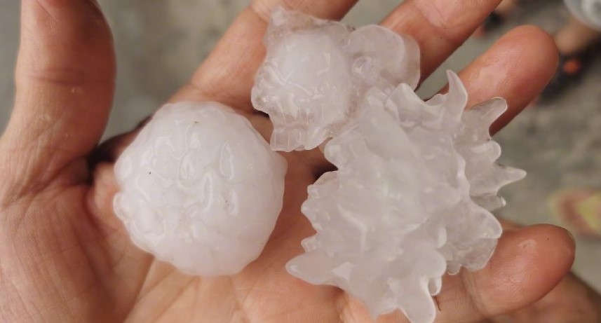 Trending in Beijing: Virus-shaped hailstones, Toitlet Infection, Bao&#039;an Caught in the Act