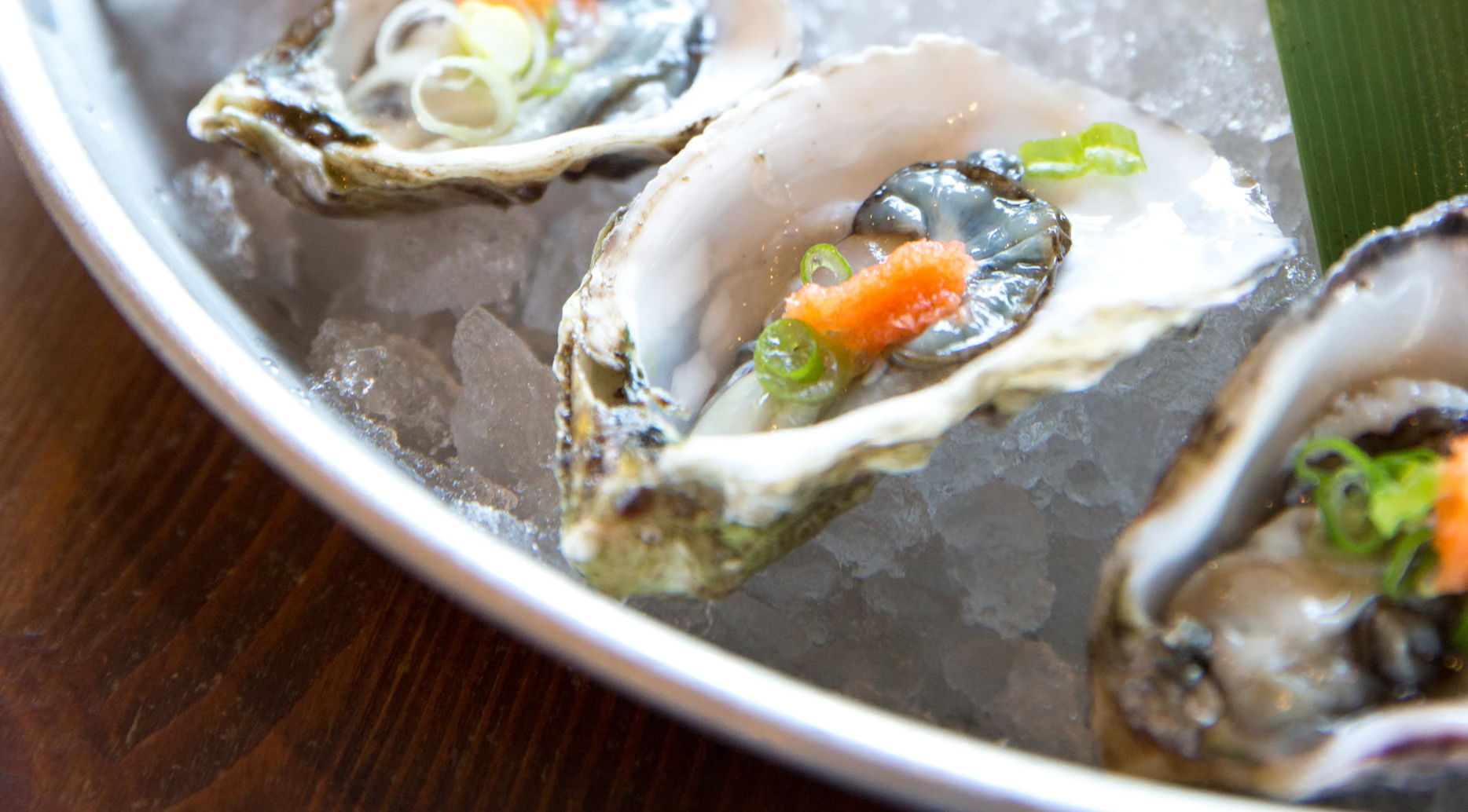 Oyster Deals Around Town