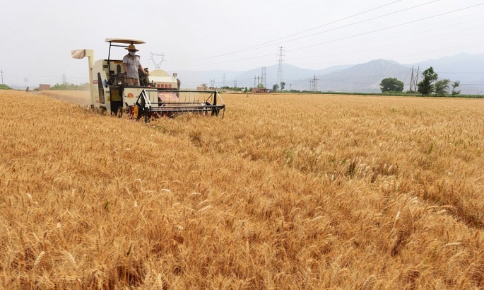 Bei-cology: China&#039;s Lack of Arable Land and Food Scandals Lead to Big Business for Importer