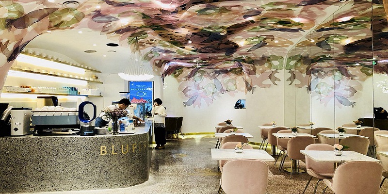 French Dining Meets an American Twist Underwater at Blufish in