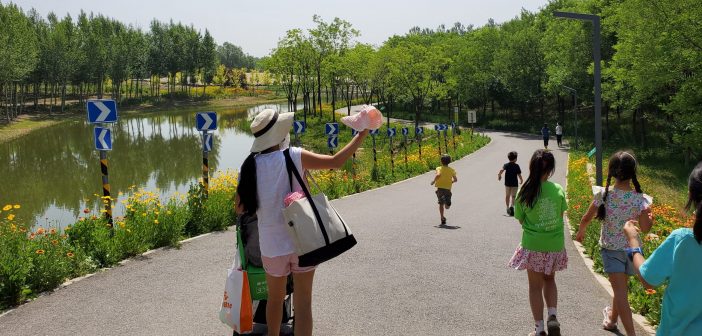 Head to Dongjiao Wetland Park for Sand, Lakes and Cycling