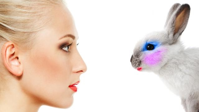 Beauty Not Cruelty China Ends Animal Testing For General Cosmetics 