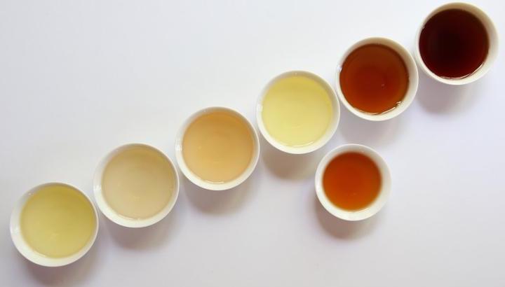 Know Your Teas: A Full and Leafy Spectrum of Cuppas