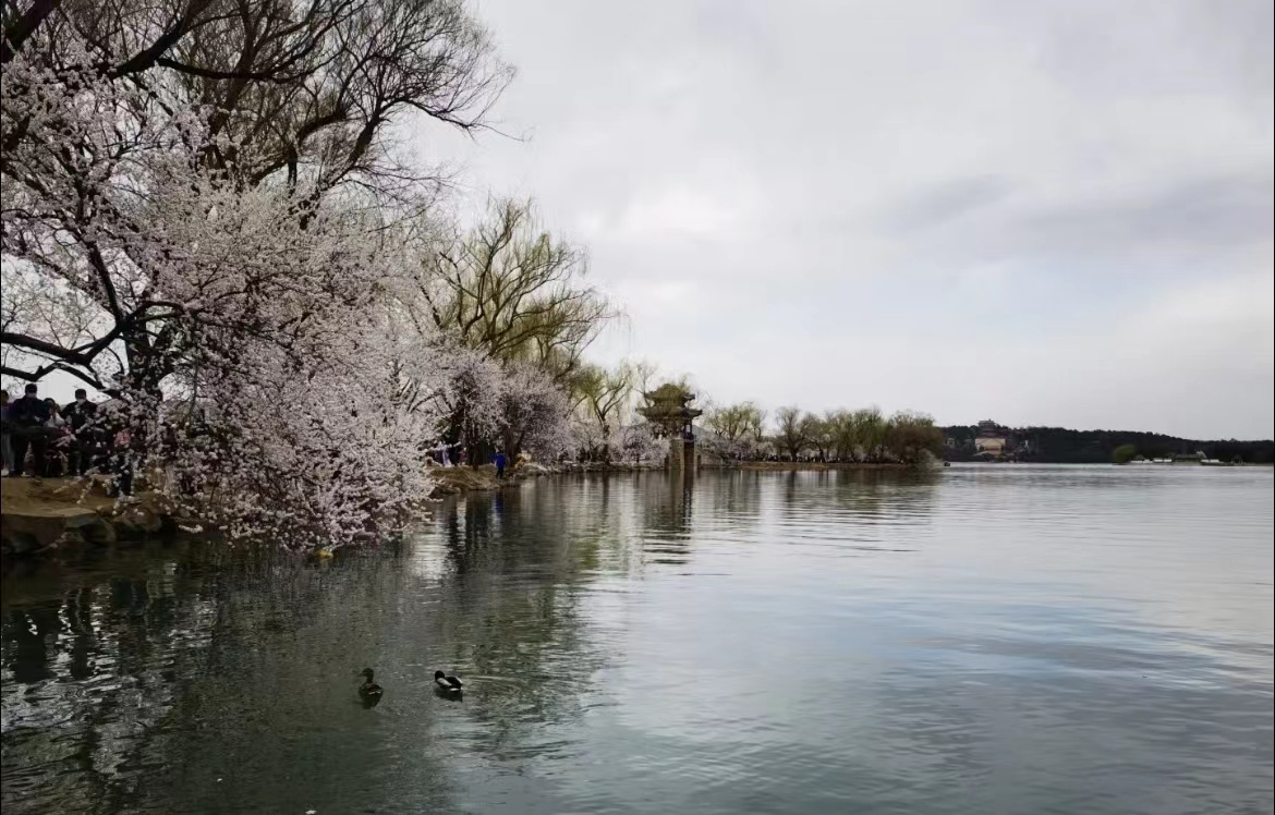 Beicology: When Will Spring Finally Arrive in Beijing?