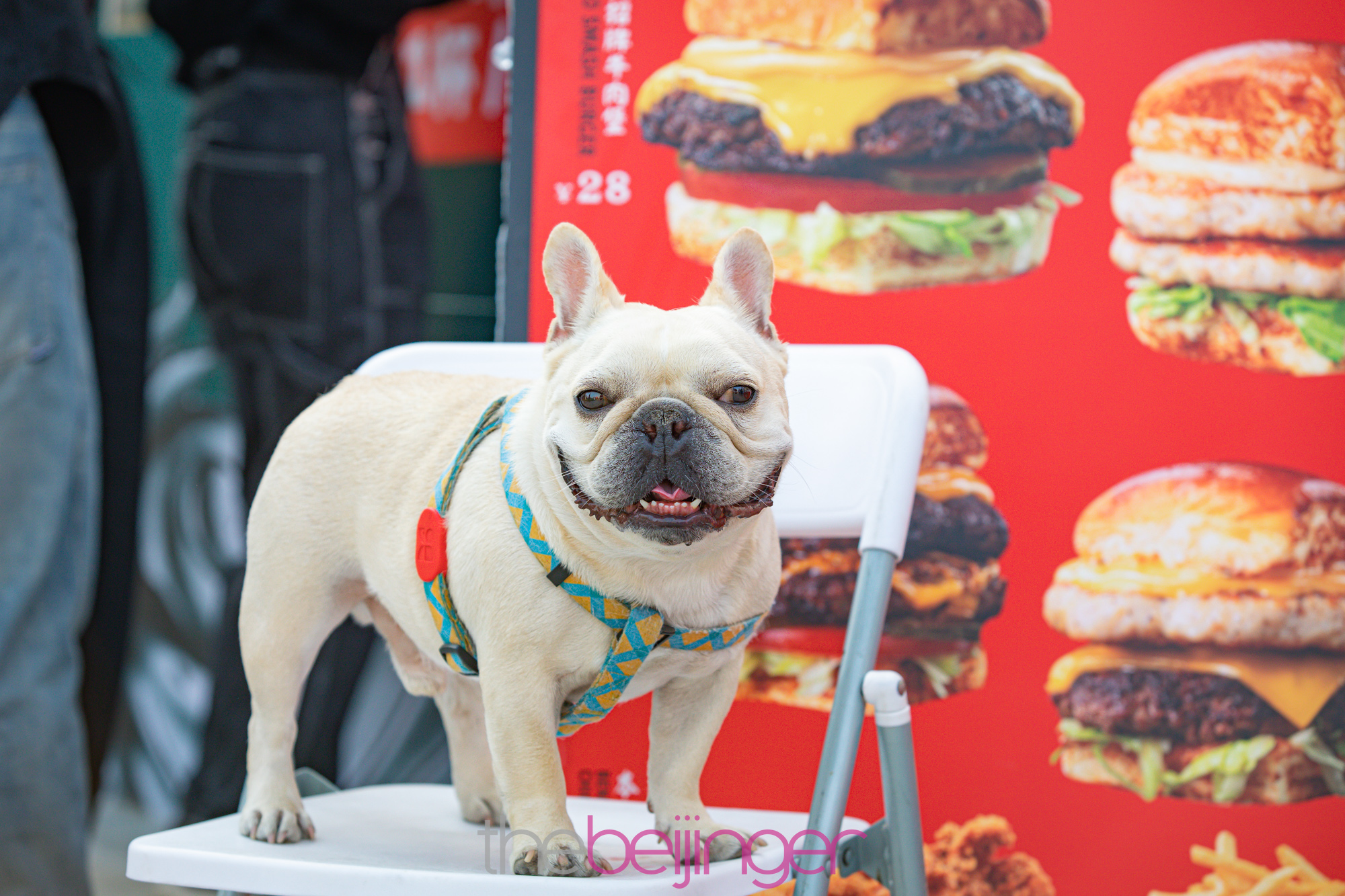 Furry Friends Welcome at Juicy Burger Fest 2024