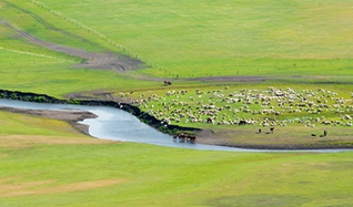 Travel to Inner Mongolia- Hulunbuir Grassland 4 Days | the Beijinger