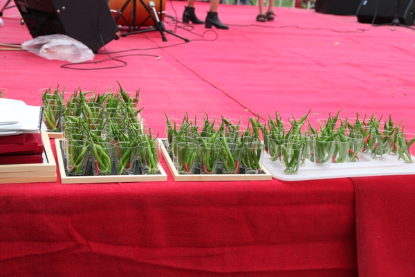 Canada_Day_Chili_Pepper_Eating_Contest_Beijing04