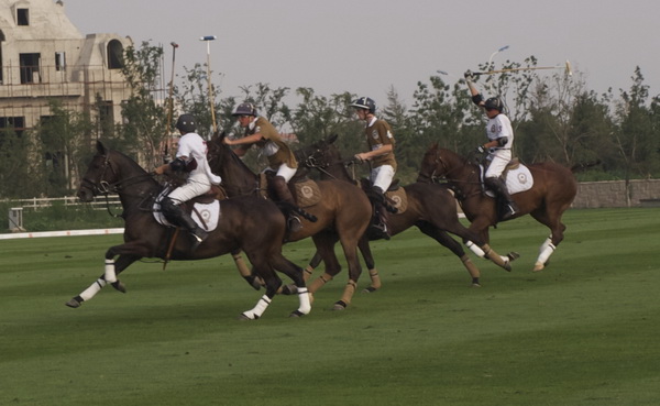 TiajinGoldinPoloClub39