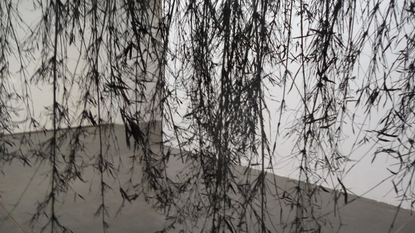 UCCA Jennifer Wen Ma Hanging Garden In Ink Apr 14 8